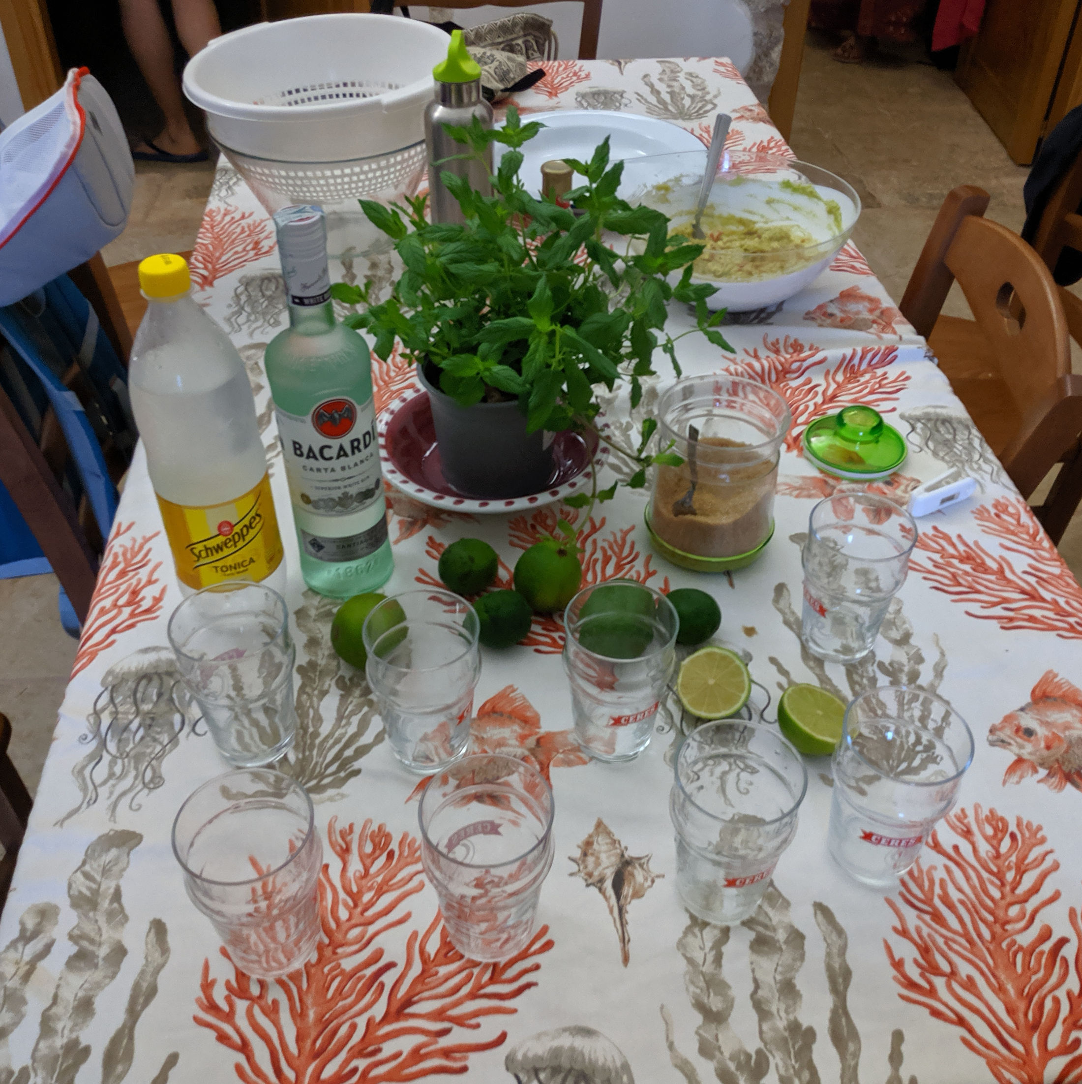 Ingredienti per il mojito.